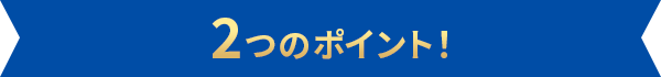 2つのポイント！